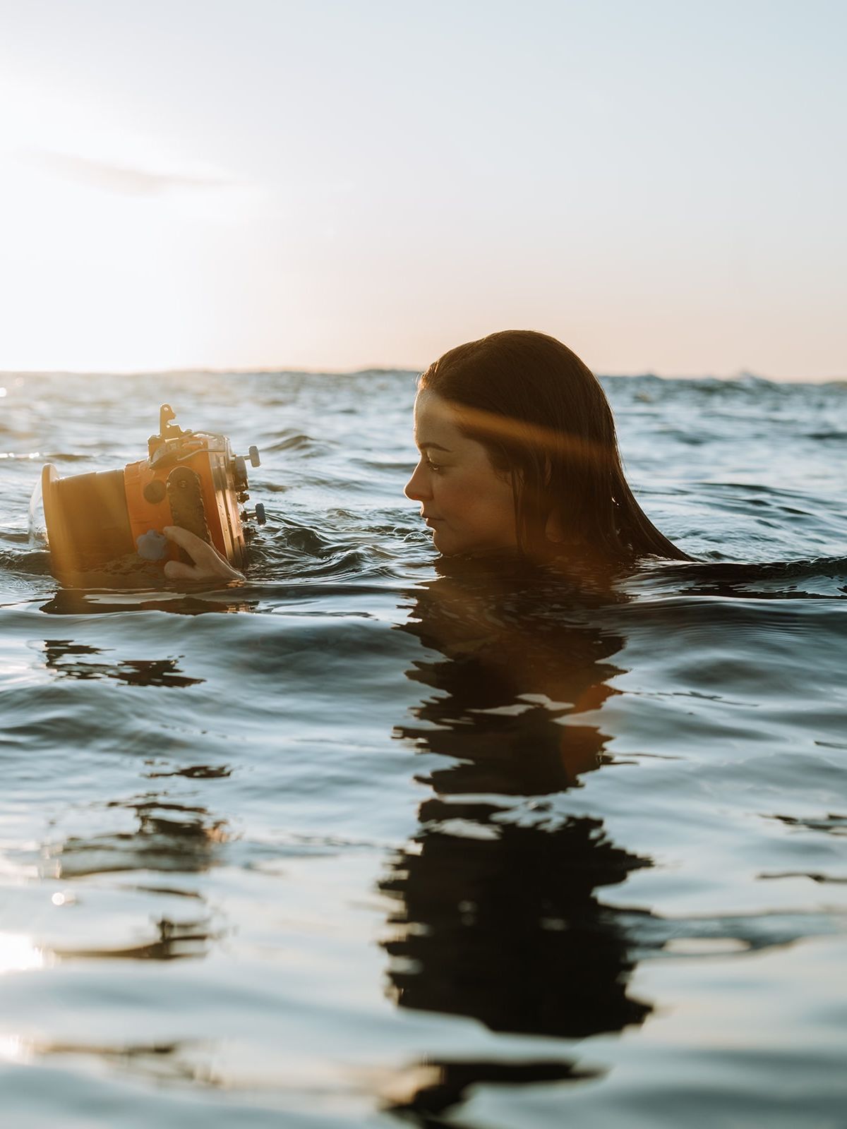 Sea Through The Lens Photography - Bio photo