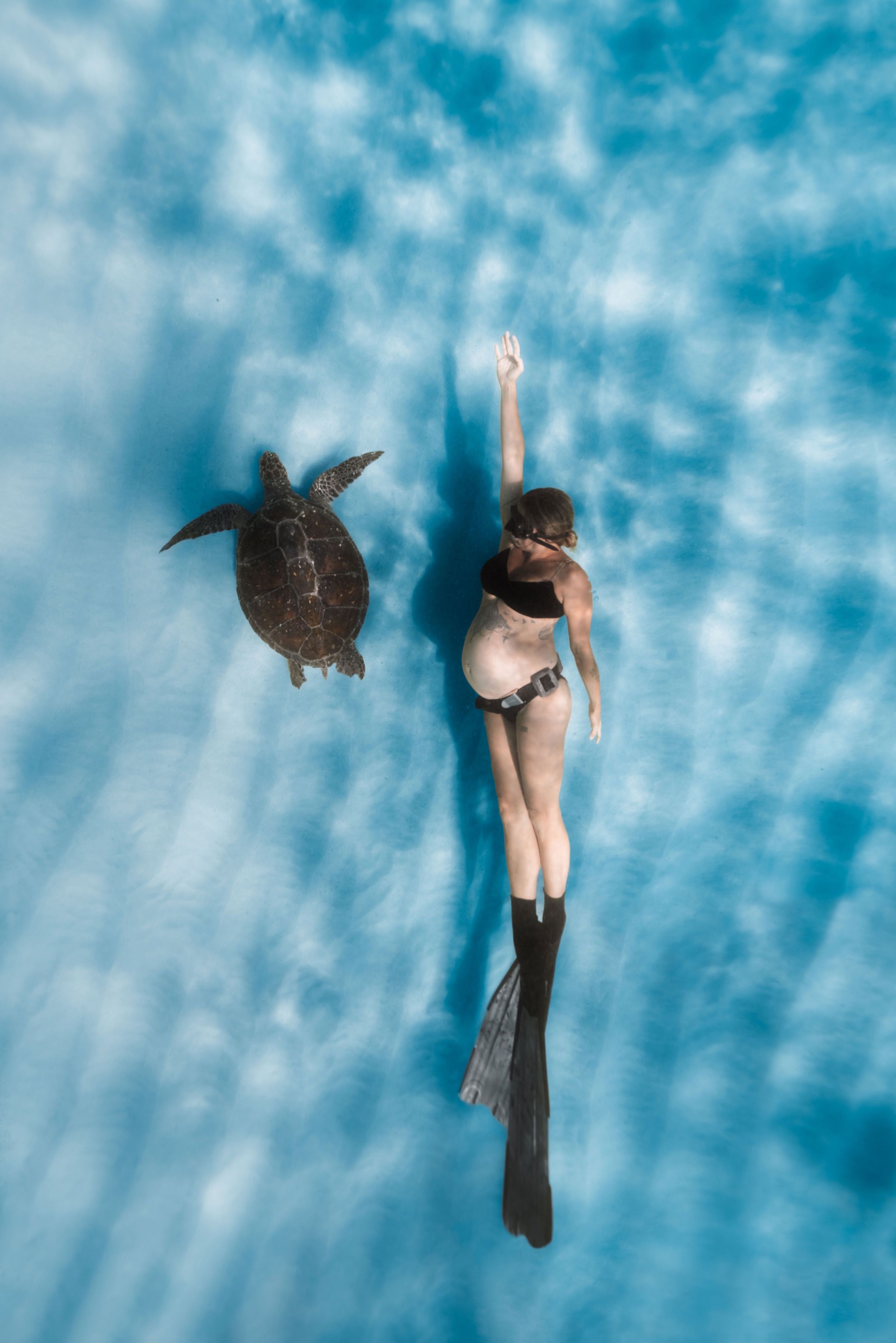 Sea Through The Lens Photography - Photography portfolio 5