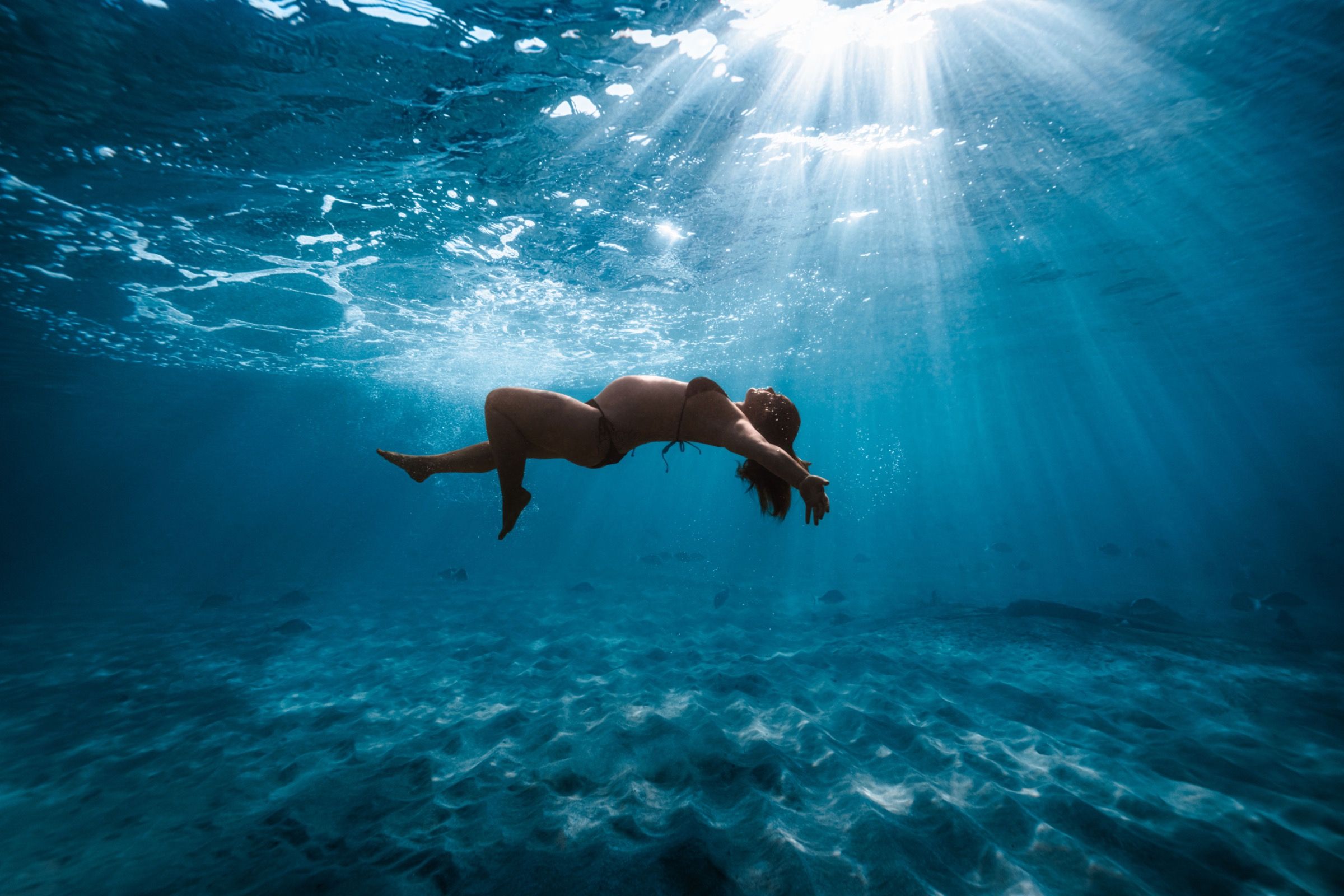 Sea Through The Lens Photography - Photography portfolio 2