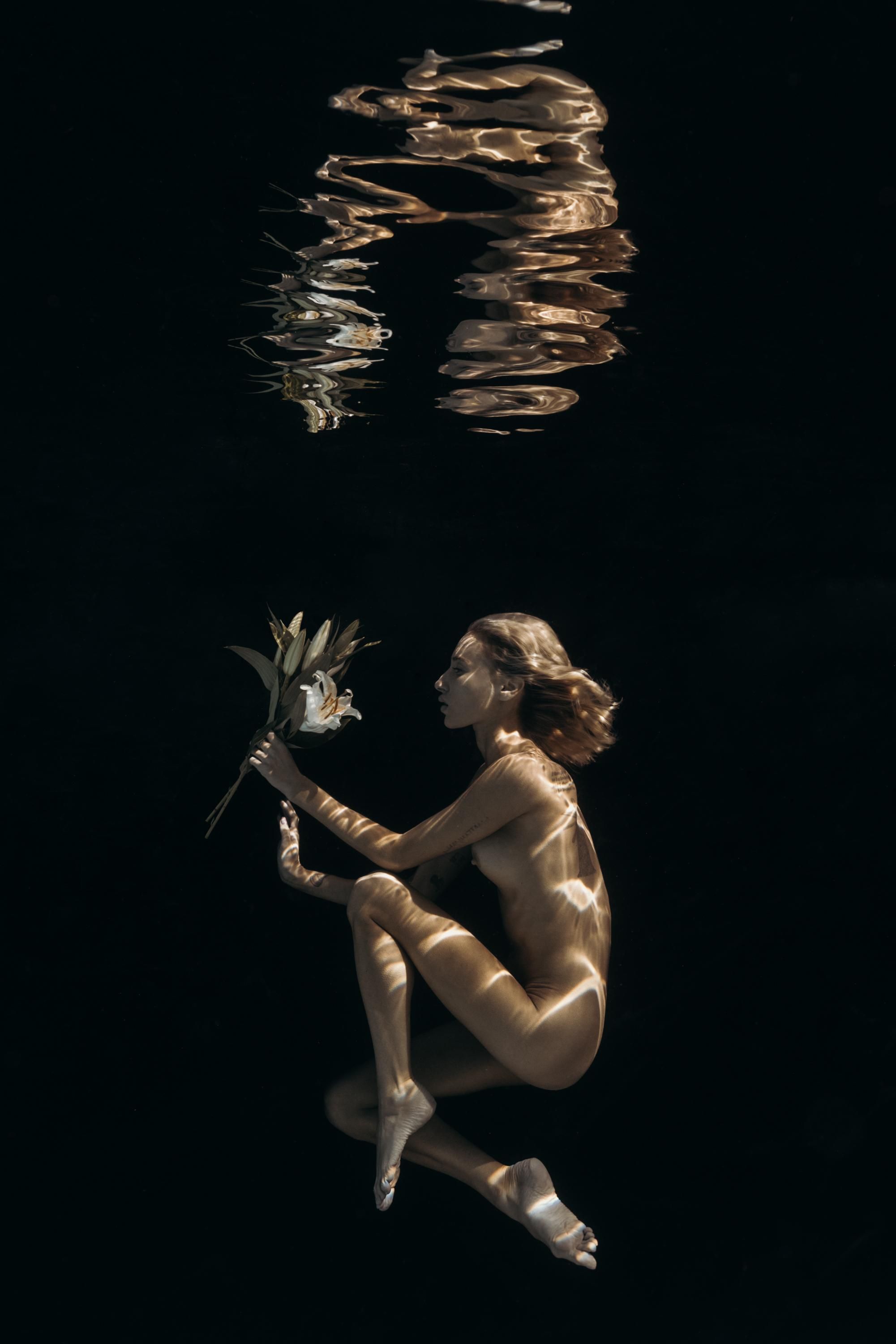 Birdee - Photography portfolio 4
